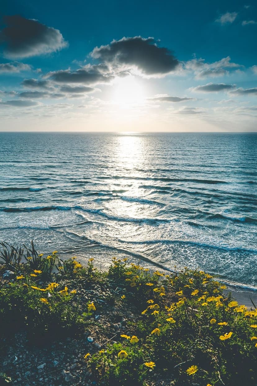 Best Local HVAC Provider's image