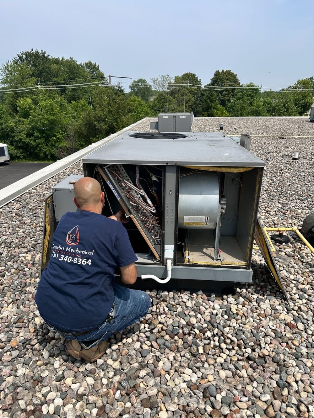 Contact form background